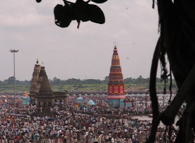 chandrabhaga w:tree