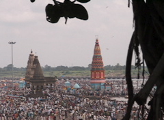 chandrabhaga w:tree